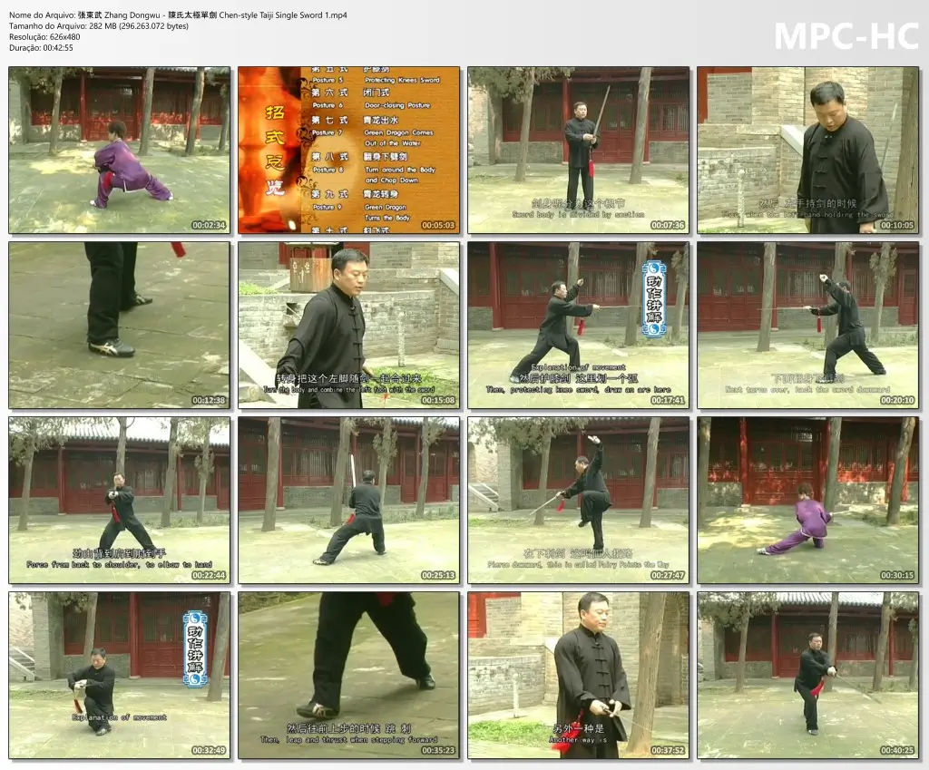 張東武 Zhang Dongwu 陳氏太極單劍 Chen style Taiji Single Sword 1.mp4 thumbs
