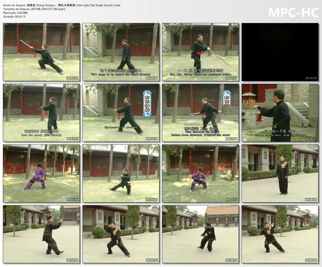 張東武 Zhang Dongwu 陳氏太極單劍 Chen style Taiji Single Sword 2.mp4 thumbs