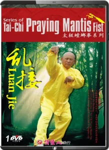 1. Luàn Jiē 乱接