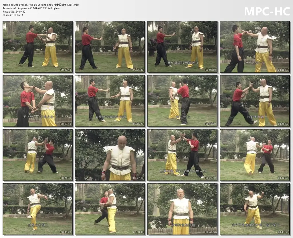 2a. Huó Bù Lā Fēng Shǒu 活步拉封手 Disk1.mp4 thumbs