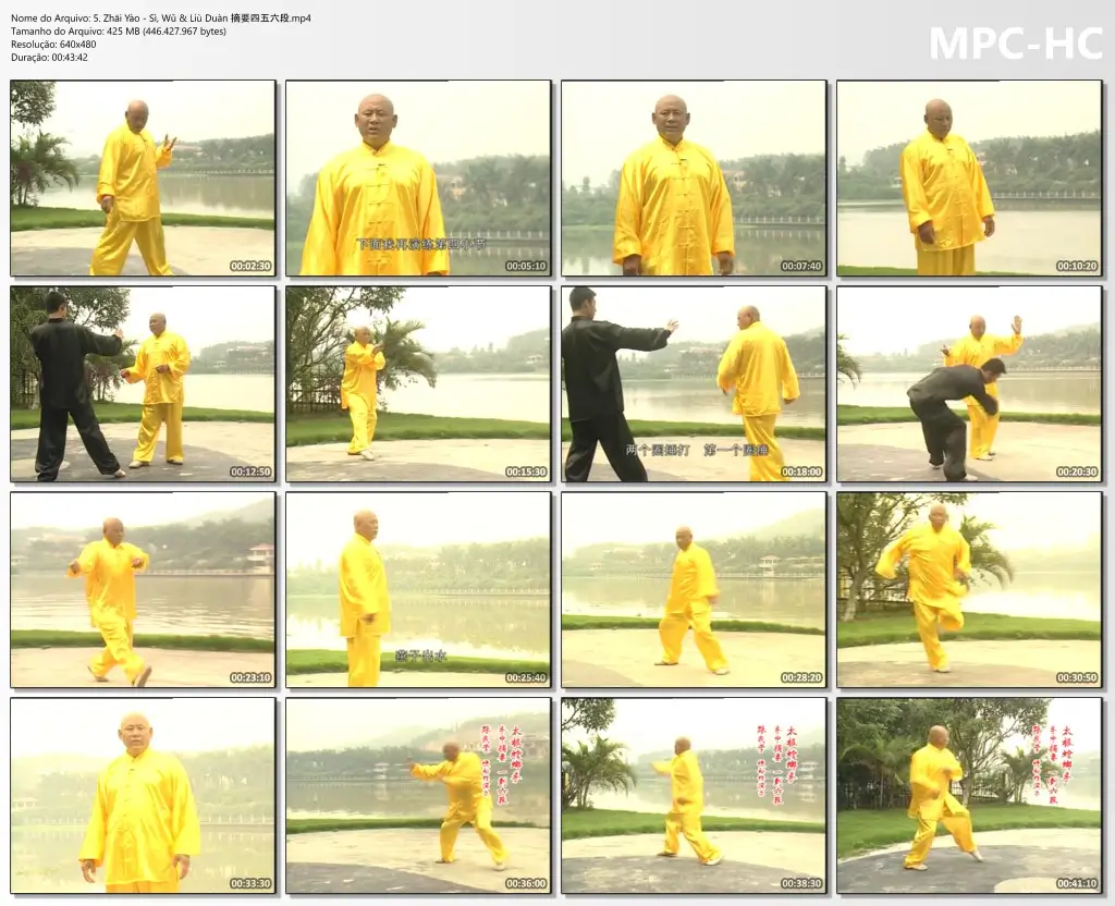 5. Zhāi Yào Sì, Wǔ & Liù Duàn 摘要四五六段.mp4 thumbs