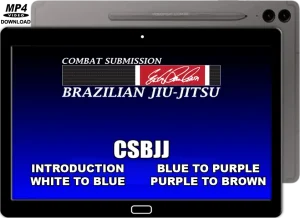 ERIK PAULSON CSBJJ STUDENT LEVEL PROGRAM