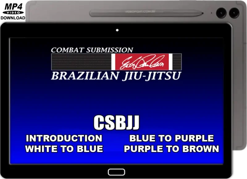 ERIK PAULSON CSBJJ STUDENT LEVEL PROGRAM