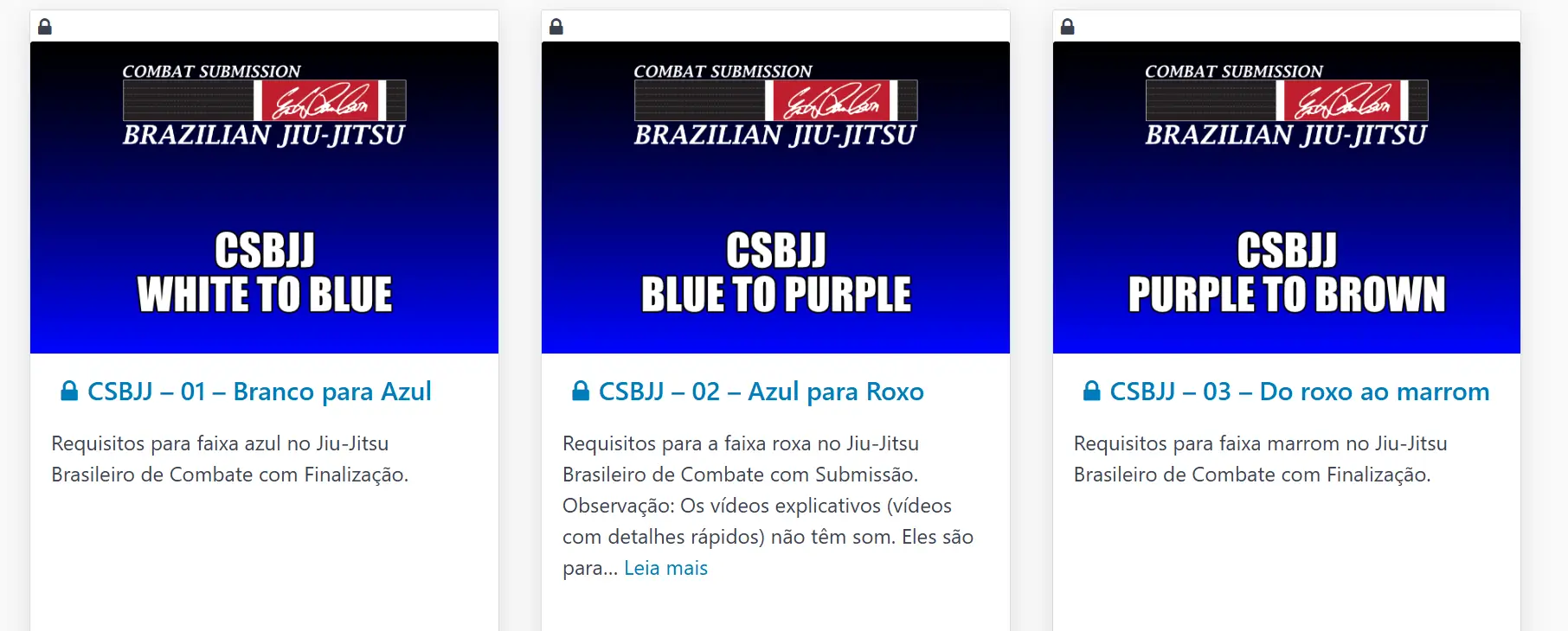 ERIK PAULSON CSBJJ STUDENT LEVEL PROGRAM course