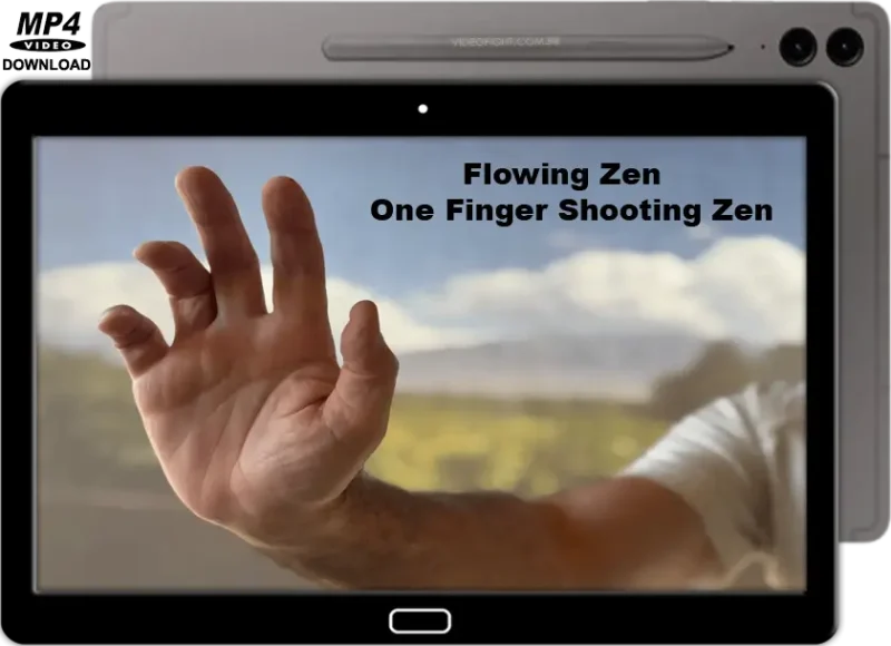 FLOWING ZEN ONE FINGER SHOOTING ZEN