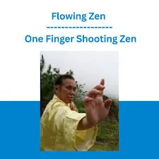 FLOWING ZEN ONE FINGER SHOOTING ZEN VCD