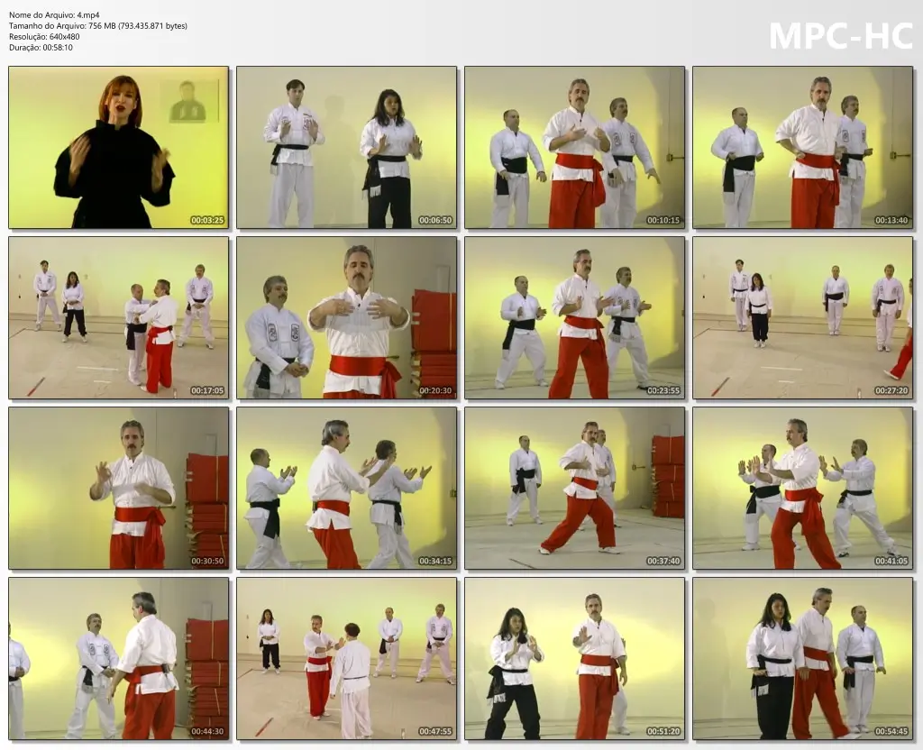 GLENN C. WILSON PAI LUM TAO KUNG FU 04 KUAN YIN FORM CHI KUNG CD