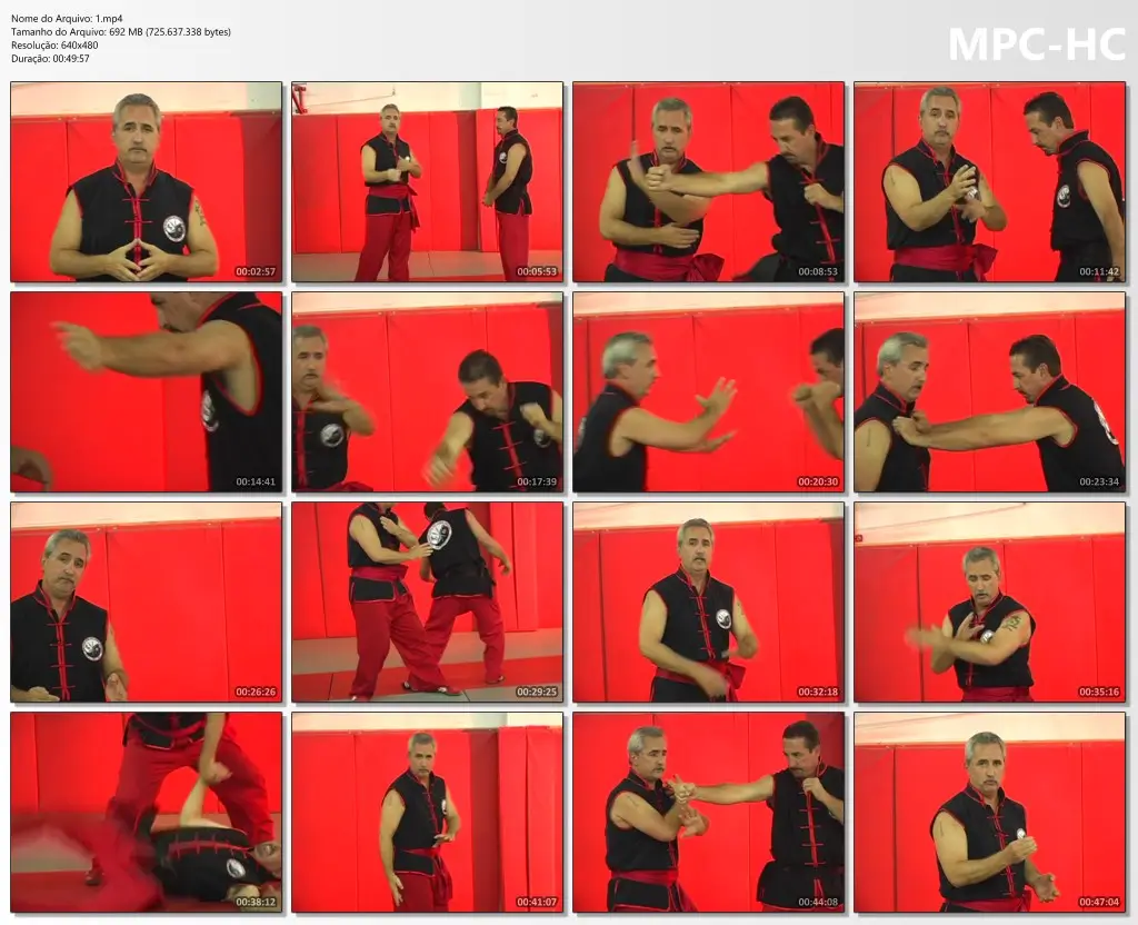 GLENN C. WILSON PAI LUM TAO SECRETS OF THE WHITE DRAGON 01 CRUSHING PALM CD