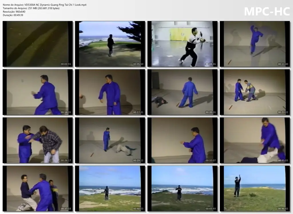 VD5300A NC Dynamic Guang Ping Tai Chi 1 Look.mp4 thumbs