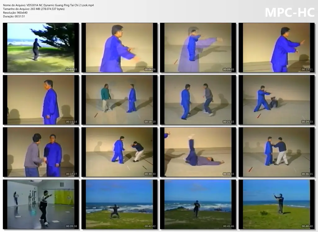 VD5301A NC Dynamic Guang Ping Tai Chi 2 Look.mp4 thumbs
