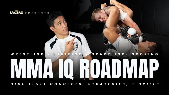 VINCE CACHERO MMA IQ ROADMAP MP4
