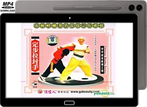 XIA ZHAO LONG TAI CHI STYLE PRAYING MANTIS LA FENG DA WITH FIXED STEPS