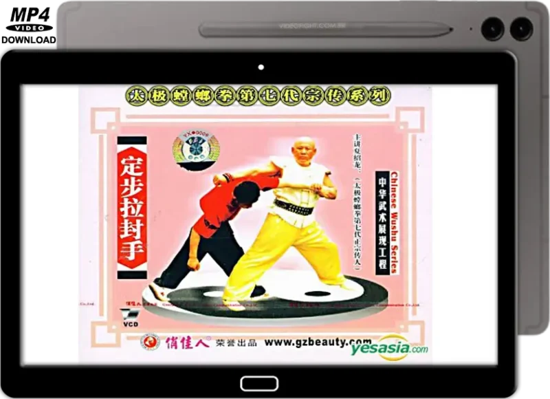 XIA ZHAO LONG TAI CHI STYLE PRAYING MANTIS LA FENG DA WITH FIXED STEPS