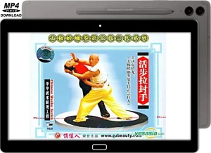 XIA ZHAO LONG TAI CHI STYLE PRAYING MANTIS LA FENG DA WITH LIVE STEPS