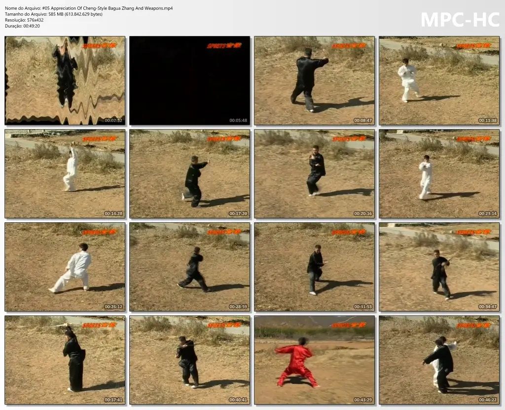 #05 Appreciation Of Cheng Style Bagua Zhang And Weapons.mp4 thumbs