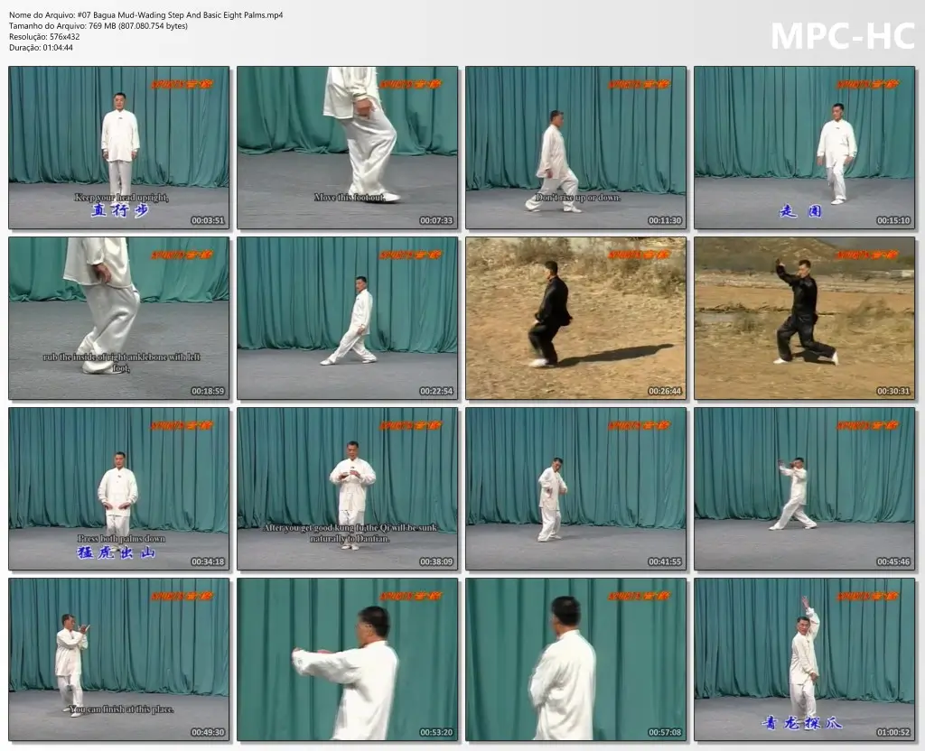 #07 Bagua Mud Wading Step And Basic Eight Palms.mp4 thumbs
