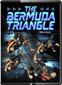 BEIJI SILVA – THE BERMUDA TRIANGLE