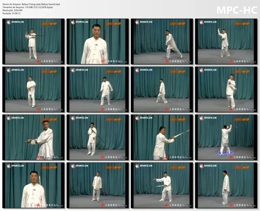 BaGua Cheng style BaGua Sword.mp4 thumbs