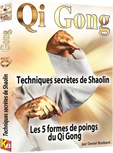 DANIEL BRAIBANT QI GONG TECHNIQUES SECRÈTES DE SHAOLIN