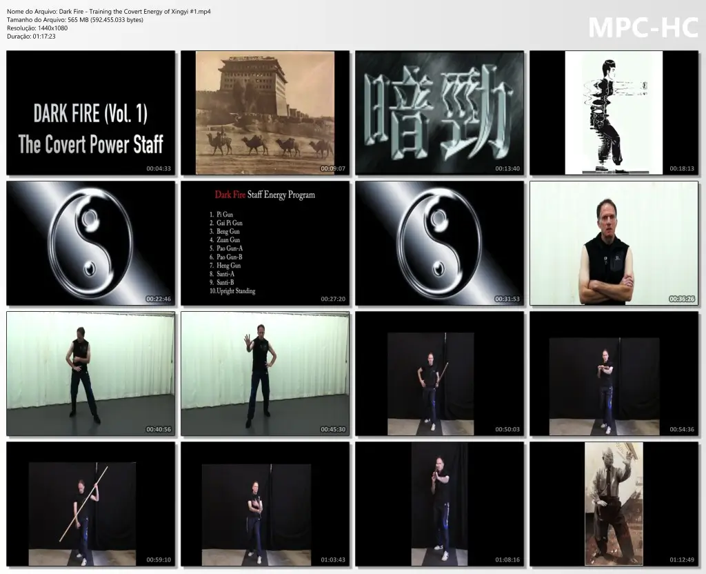 Dark Fire Training the Covert Energy of Xingyi #1.mp4 thumbs