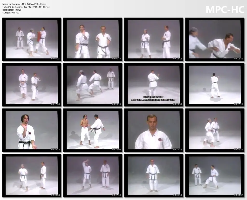 GOJU RYU AMARILLO.mp4 thumbs