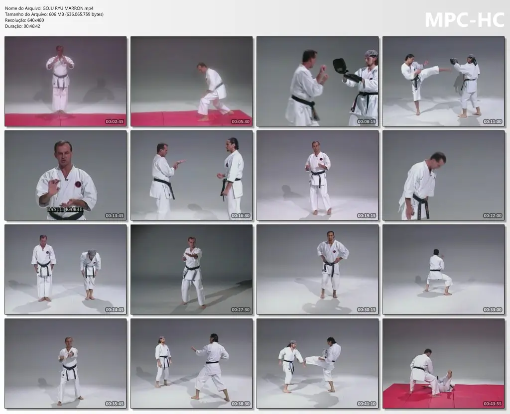 GOJU RYU MARRON.mp4 thumbs