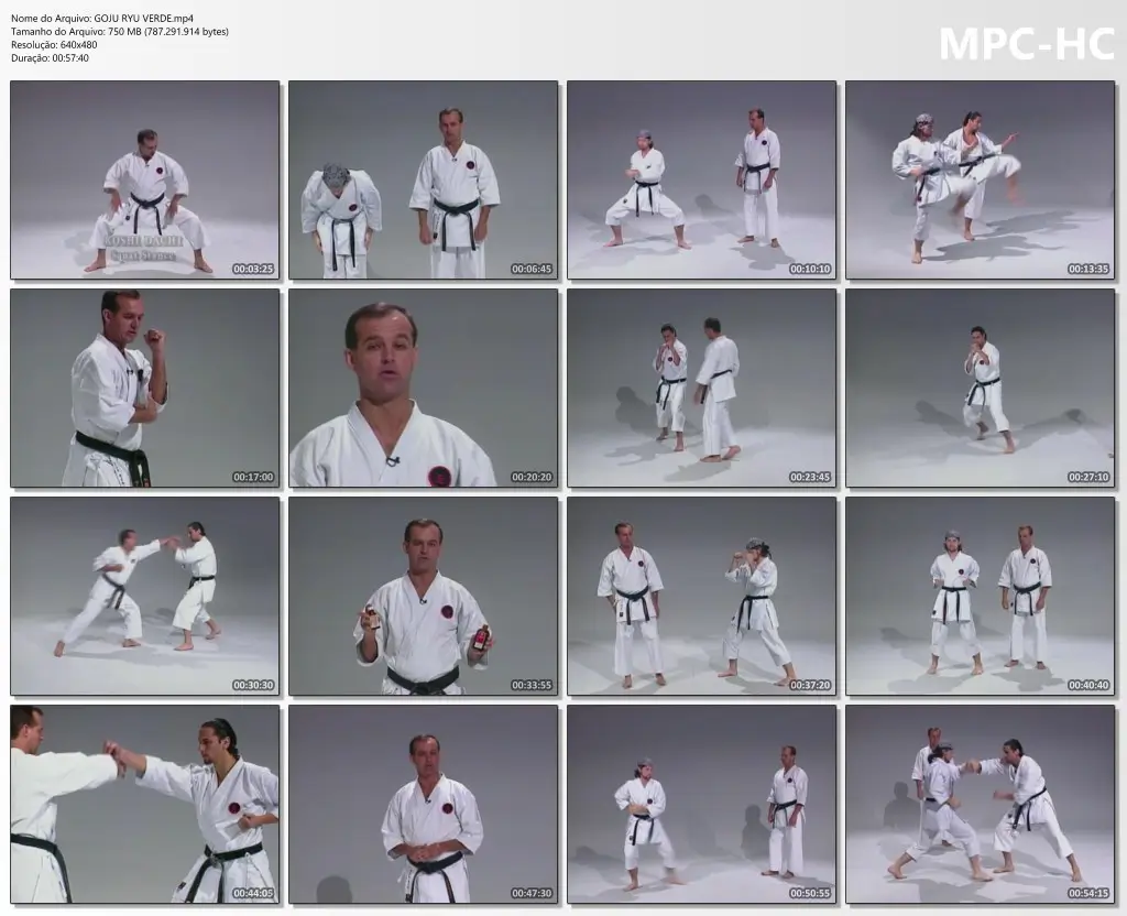 GOJU RYU VERDE.mp4 thumbs