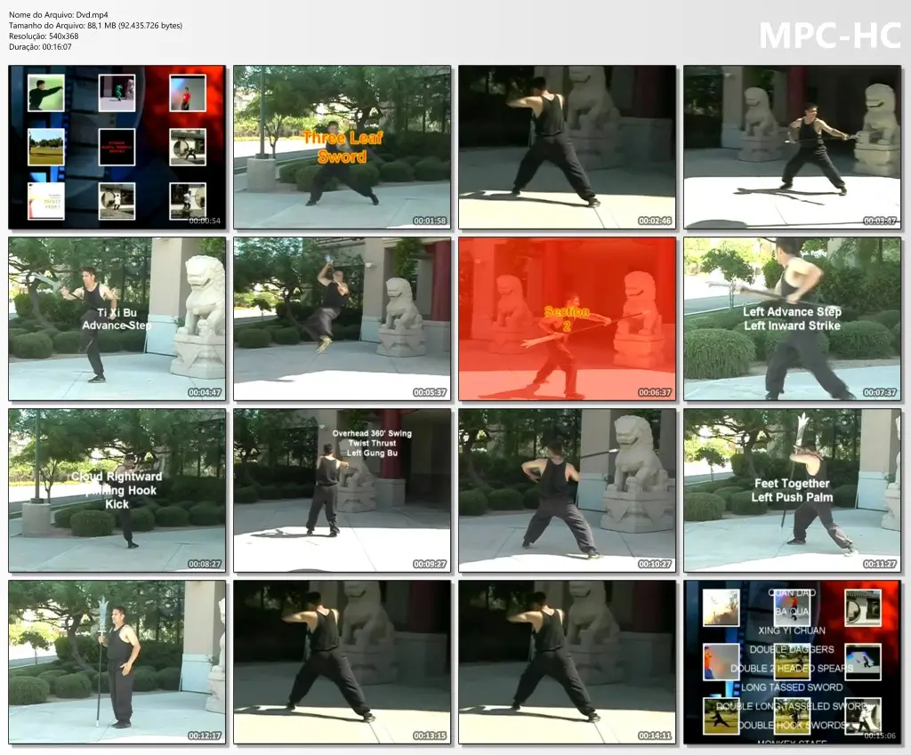 KENNY PEREZ DYNAMIC WUSHU TRAINING SERIES 3 LEAF SWORD COVER