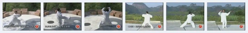 MASTER CHUANG LI DRAGON TAI CHI CHUAN SERIES 2ND ROUTINE COVER