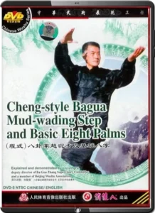 MASTER LIU JING RU TRADITIONAL CHENG STYLE BAGUA