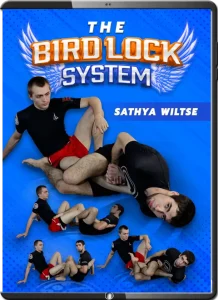 SATHYA WILTSE – THE BIRD LOCK SYSTEM