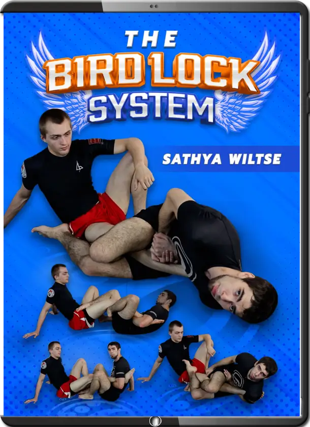 SATHYA WILTSE – THE BIRD LOCK SYSTEM