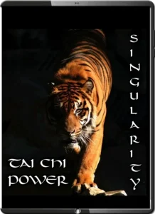 SCOTT MEREDITH TAI CHI POWER SINGULARITY