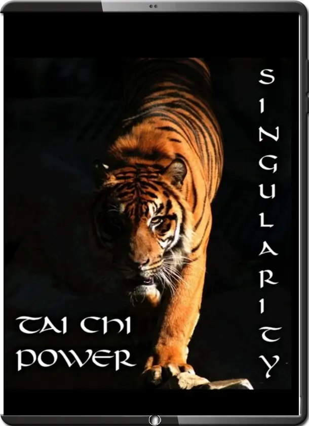 SCOTT MEREDITH TAI CHI POWER SINGULARITY