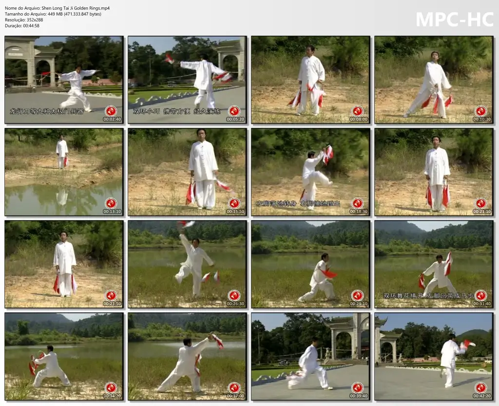 Shen Long Tai Ji Golden Rings.mp4 thumbs