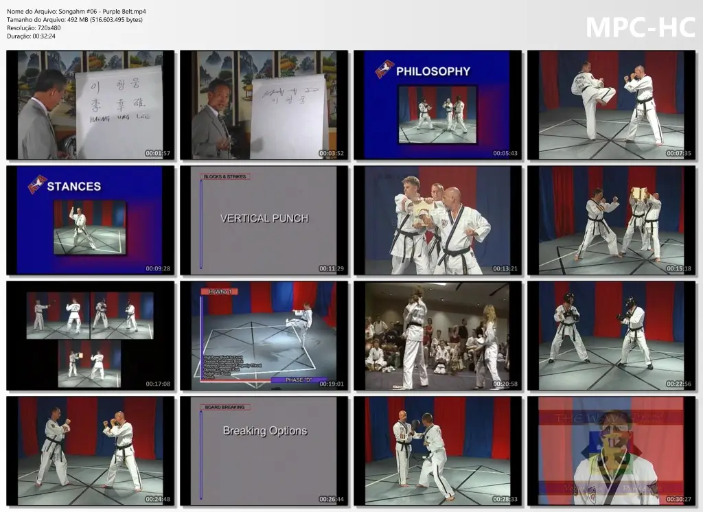Songahm #06 Purple Belt.mp4 thumbs