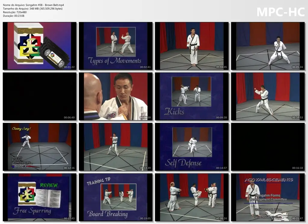 Songahm #08 Brown Belt.mp4 thumbs