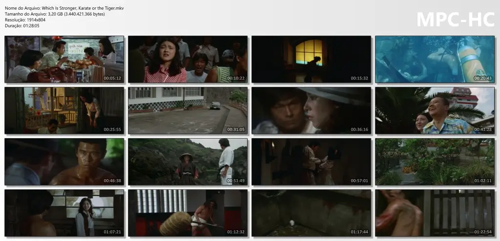 Which Is Stronger, Karate or the Tiger.mkv thumbs