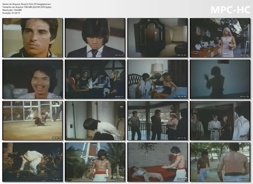 's Fists Of Vengeance.avi thumbs