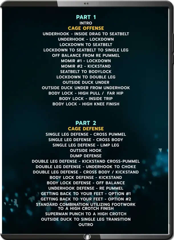 DARRYL CHRISTIAN HYBRID APPOACH TO WRESTLING FOR MMA cover