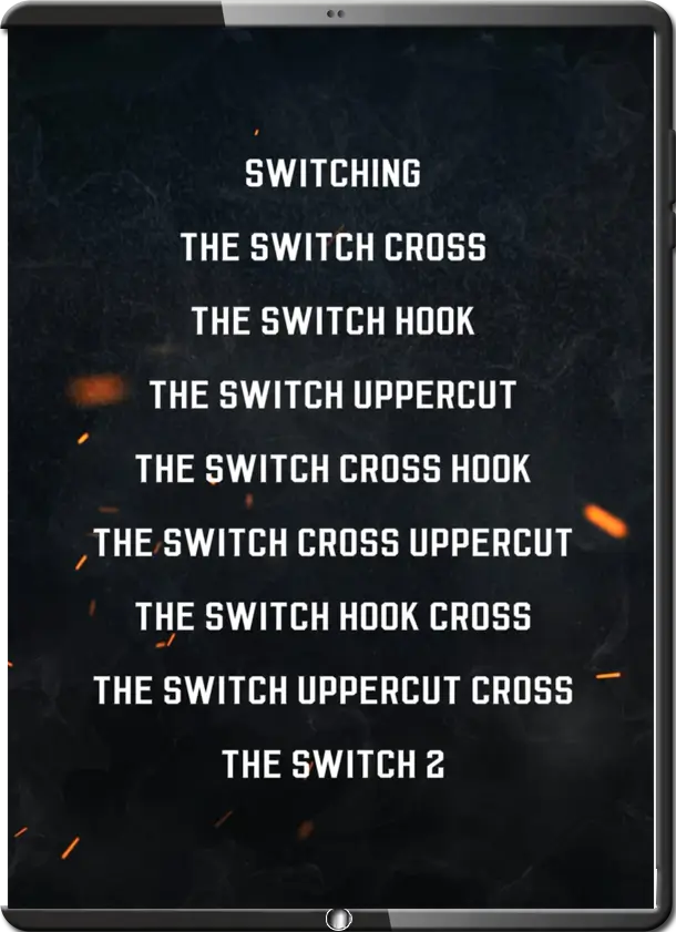 DUANE LUDWIG SWITCH SERIES COVER