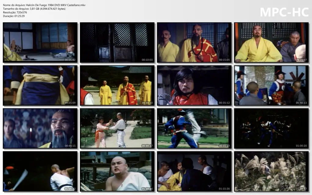 Halcón De Fuego 1984 DVD MKV Castellano.mkv thumbs