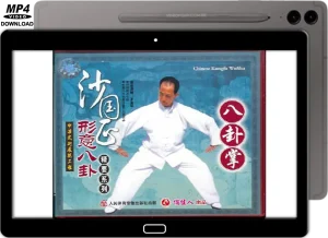 JIANG RONG JIAO BAGUA JIANG STYLE BAGUA