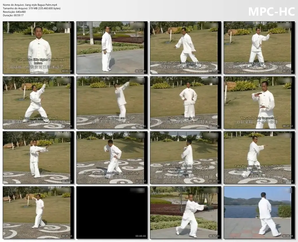 Jiang style Bagua Palm.mp4 thumbs