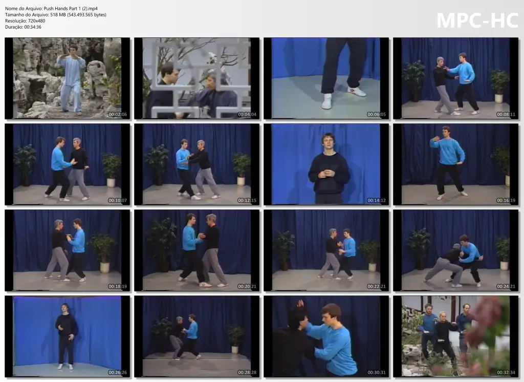Push Hands Part 1 (2).mp4 thumbs