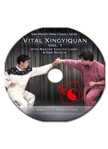SAM MASICH VITAL XINGYIQUAN VOL.01