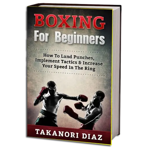TAKANORI DIAZ BOXING FOR BEGINNERS PDF