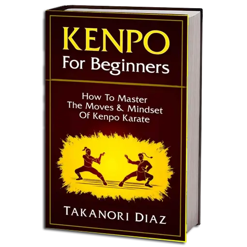 TAKANORI DIAZ KEMPO FOR BEGINNERS PDF