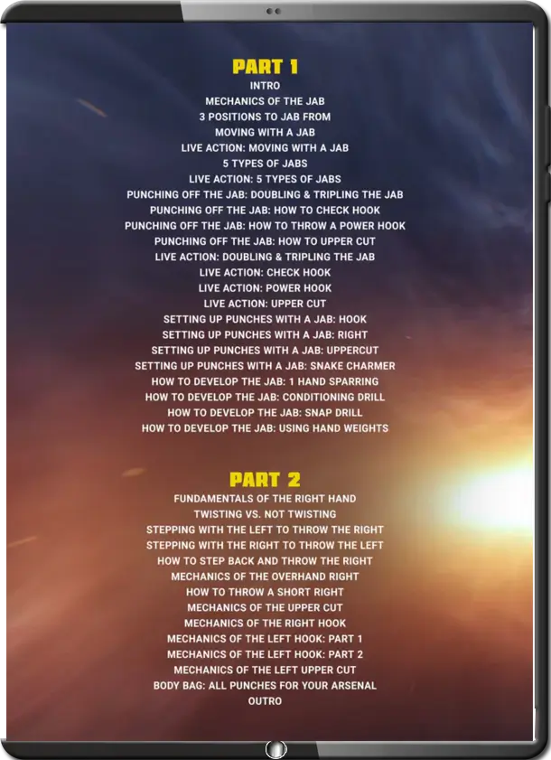 TIM WEBB MECHANICS OF THE JAB AND OTHER OFFENSIVE TOOLS COVER