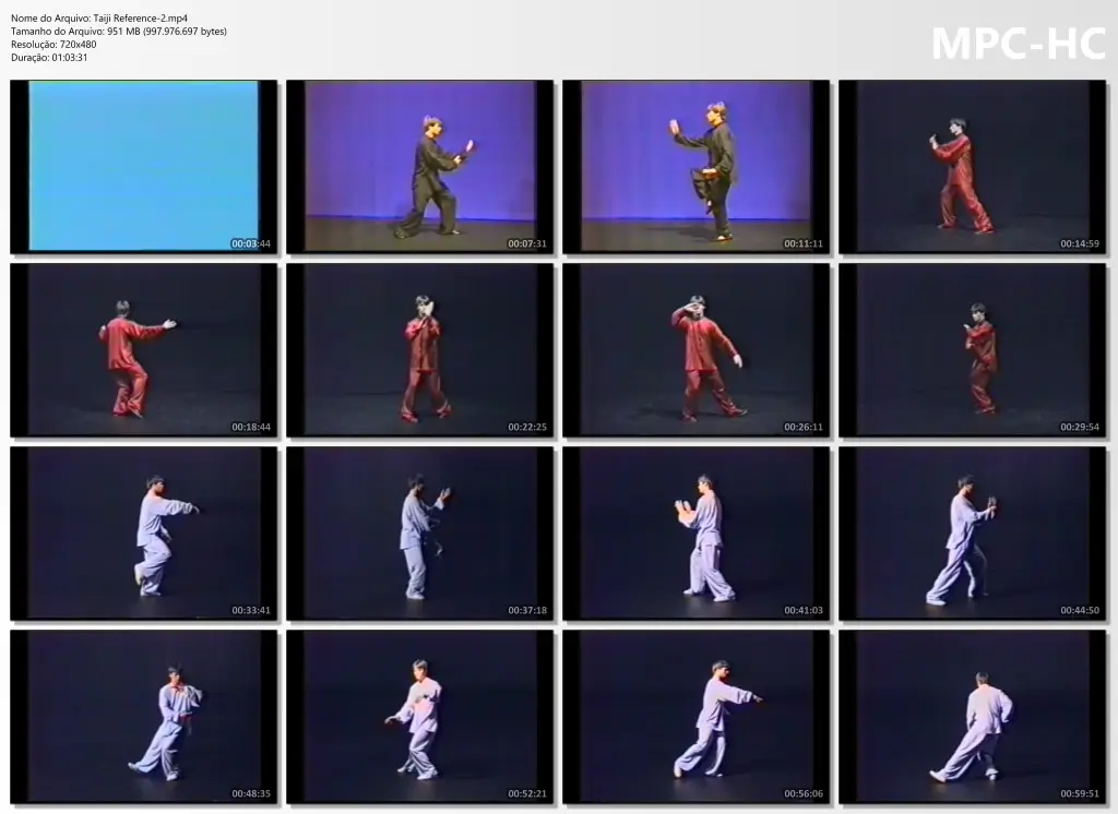 Taiji Reference 2.mp4 thumbs